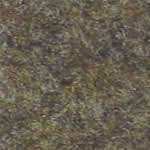 Fawn Carpet