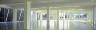 Northern Access Flooring Image 3