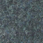 Blue Carpet