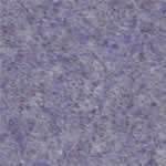 Mauve Carpet